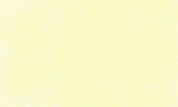 Decorazza STUCCO VENEZIANO / Цвет #SV  10-09